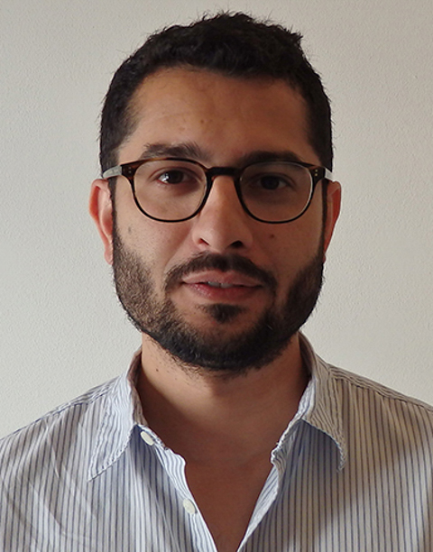 Mortimer Chatterjee